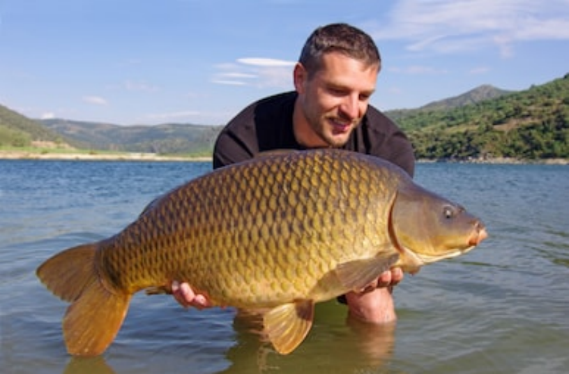 10 Tips for Carp Fishing