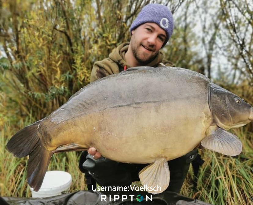 Comment faire des bouillettes maison pour la pêche à la carpe