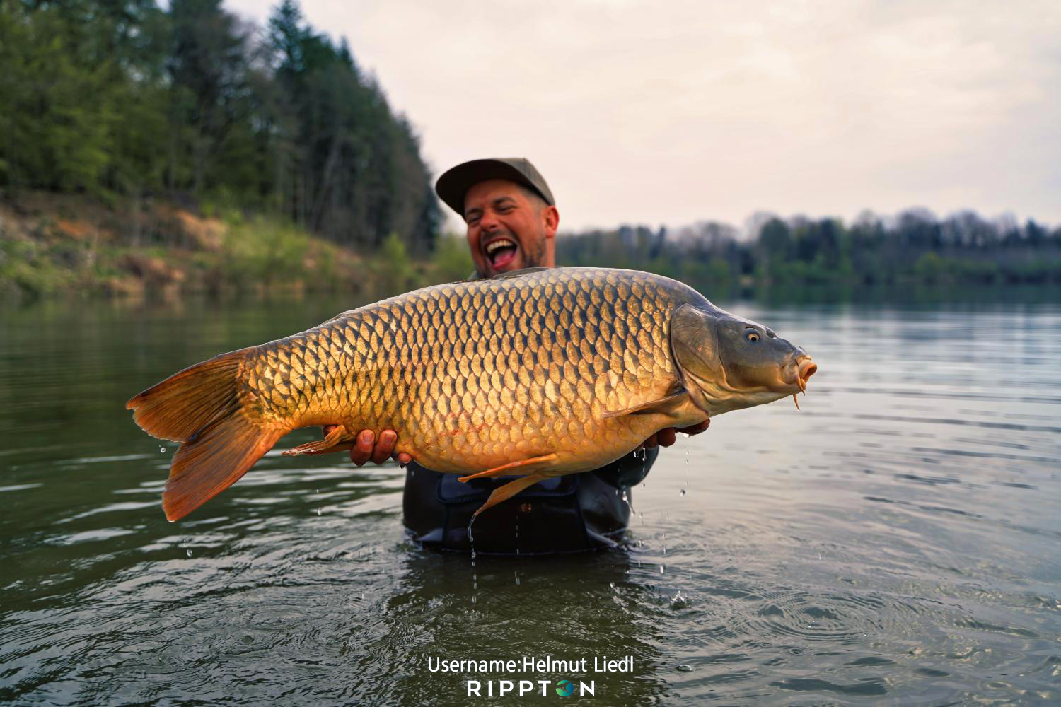 La carpe a-t-elle des dents ? (Faits intéressants sur les poissons)