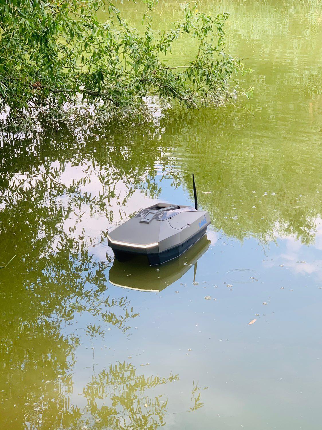 Pêche à la carpe dans les lacs Weedy : meilleurs conseils